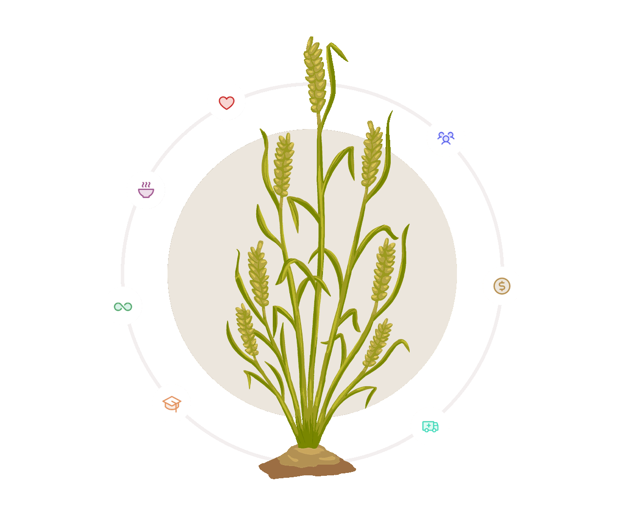 7 Grains Plant