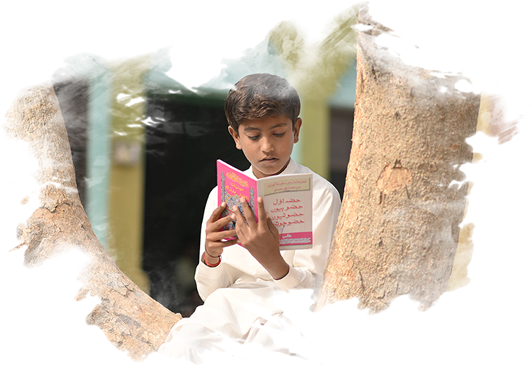 Boy Reading